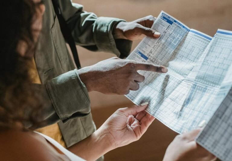 project information sheet ids